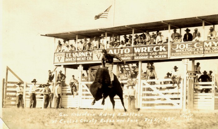 George Robertson Riding a Buffalo at Custer County Fair and Rodeo, August 21,1935 (courtesy of Troy Walz)